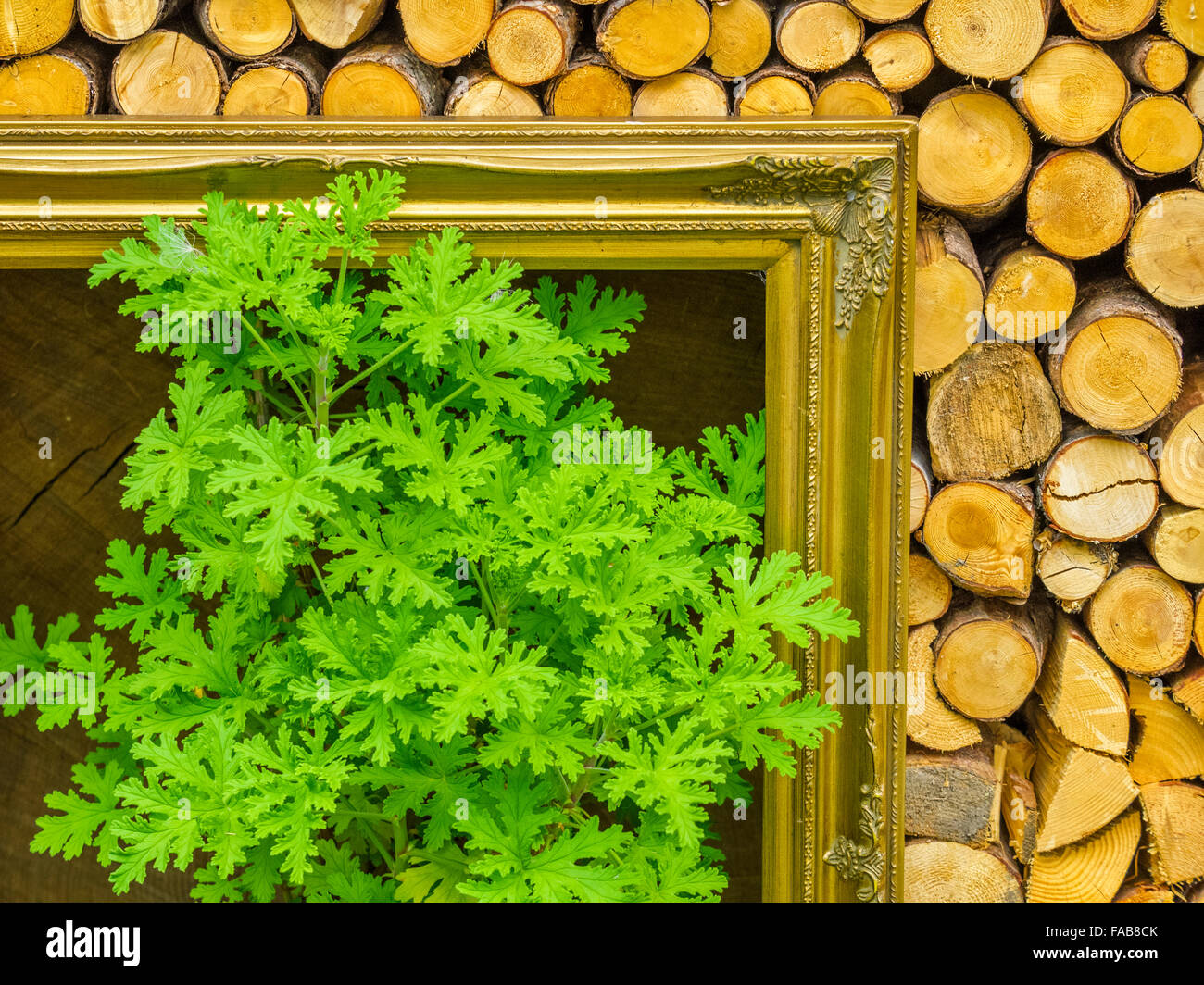 Le modalità decorativa in legno palo in città di piastrelle, Nord Italia Foto Stock