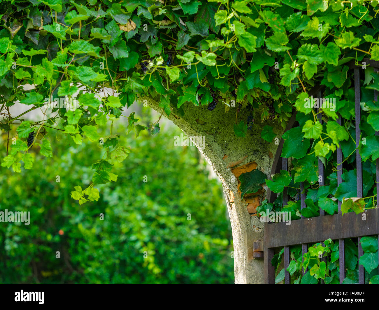 Gate nel castello di Velturno, comune di Velturno in nord Italia Foto Stock