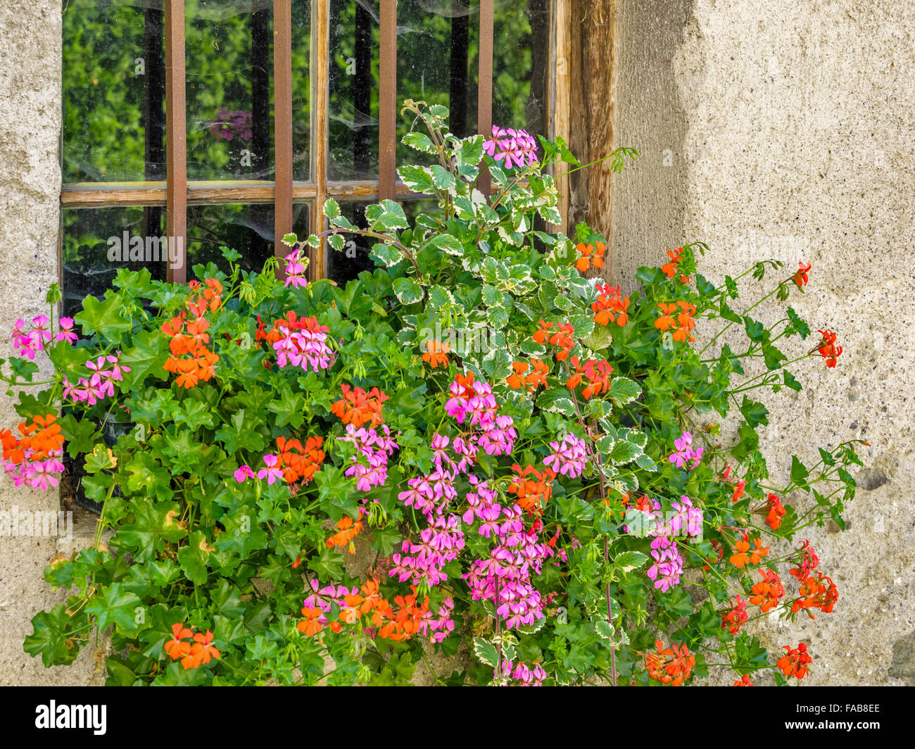 Finestra di rustico e cassetta per fiori in Città del comune di Gudon (Gudon:) nel Nord Italia Foto Stock