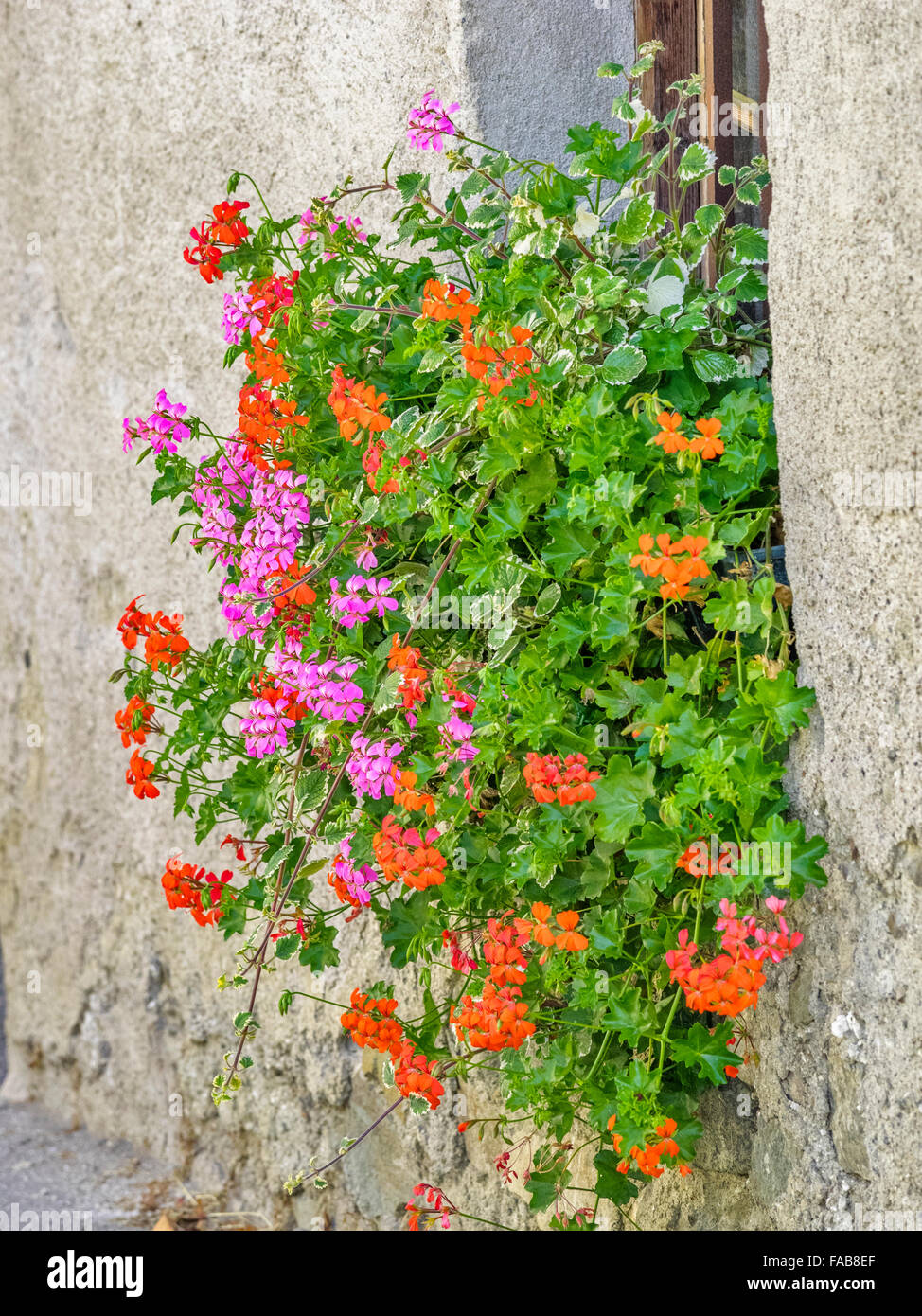 Finestra di rustico e cassetta per fiori in Città del comune di Gudon (Gudon:) nel Nord Italia Foto Stock