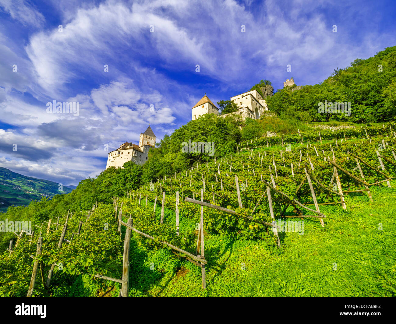 Castel Trostburg e vigneto nel Nord Italia Foto Stock