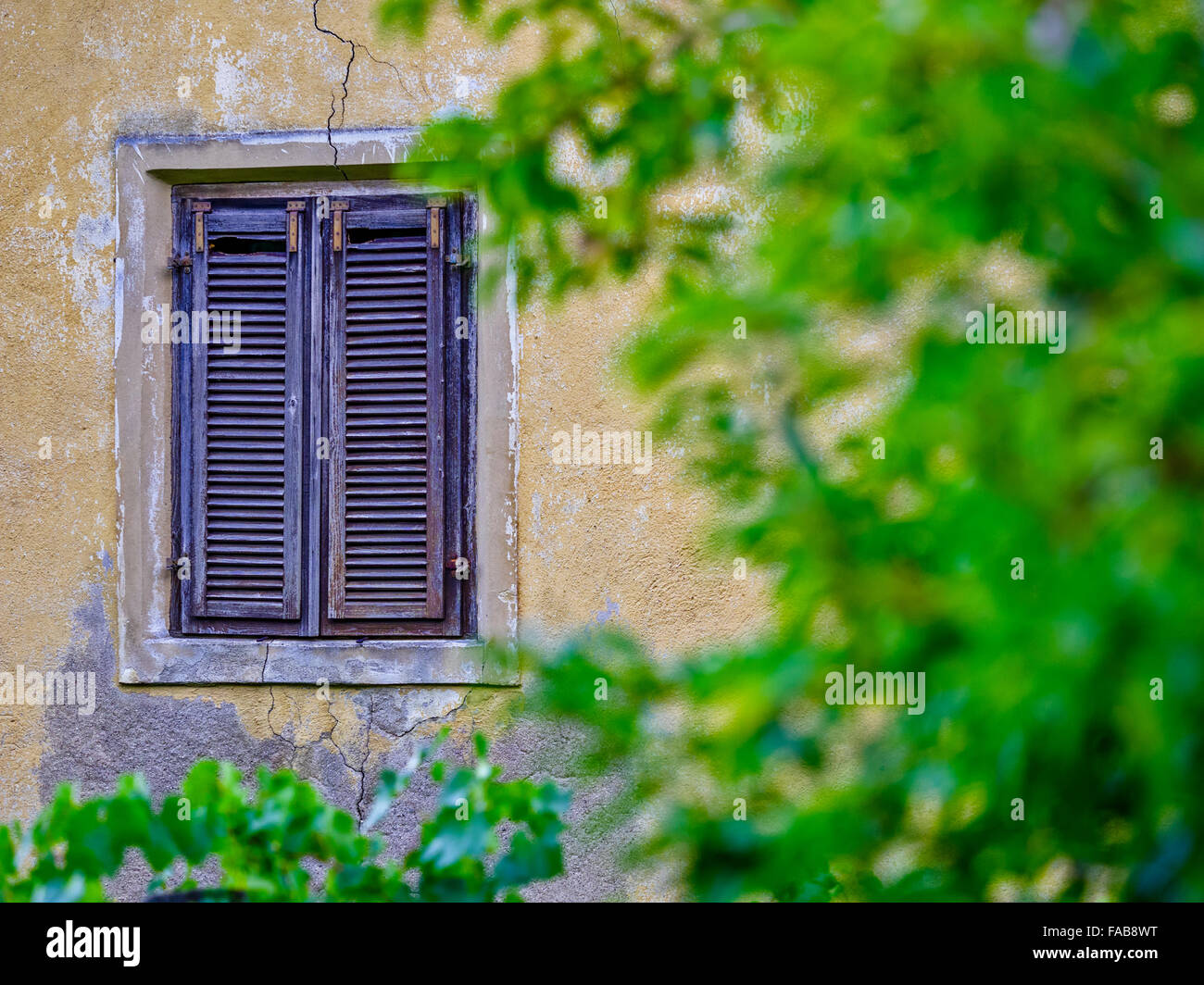 Finestra e persiane in comune di Caldaro sulla Strada del vino nel Sud Italia Foto Stock