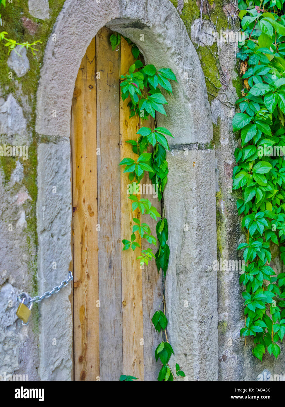 Porta rustica e vigneti nel comune di Caldaro sulla Strada del vino nel Nord Italia Foto Stock