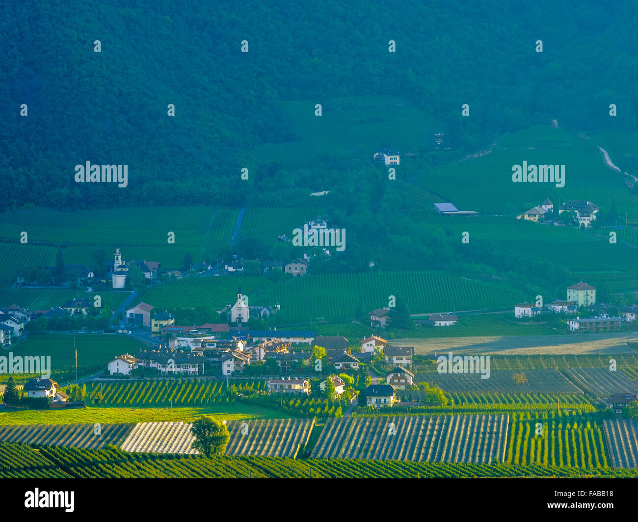 Agricoltura e vigneti in Val d Adige Valle in Alto Adige area del Nord Italia Foto Stock