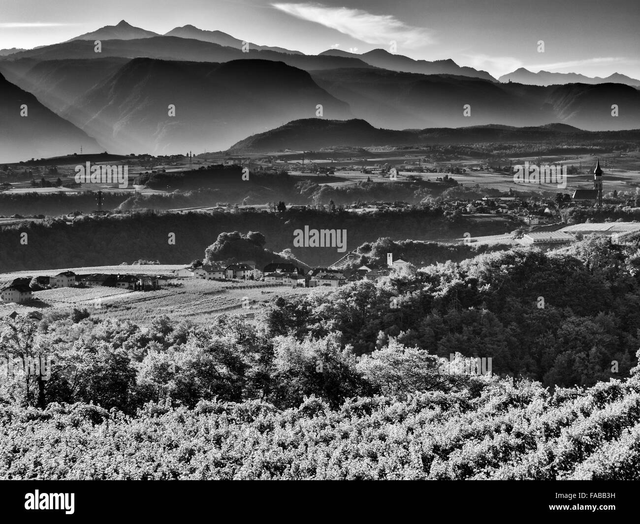 Agricoltura e vigneti in Val d Adige Valle in Alto Adige area del Nord Italia Foto Stock