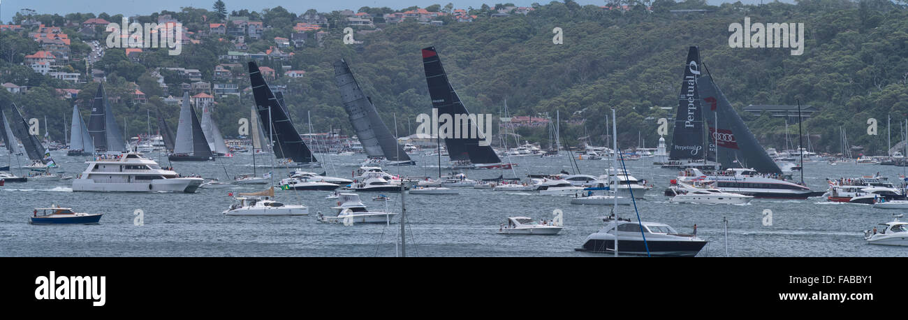 Sydney, Australia. Il 26 dicembre, 2015. Il maxi yacht che portano le barche più piccole come assalto al di fuori del porto di Sydney dopo le 1pm suonò la tromba del clacson. Credito: Simonito Tecson/Alamy Live News Foto Stock