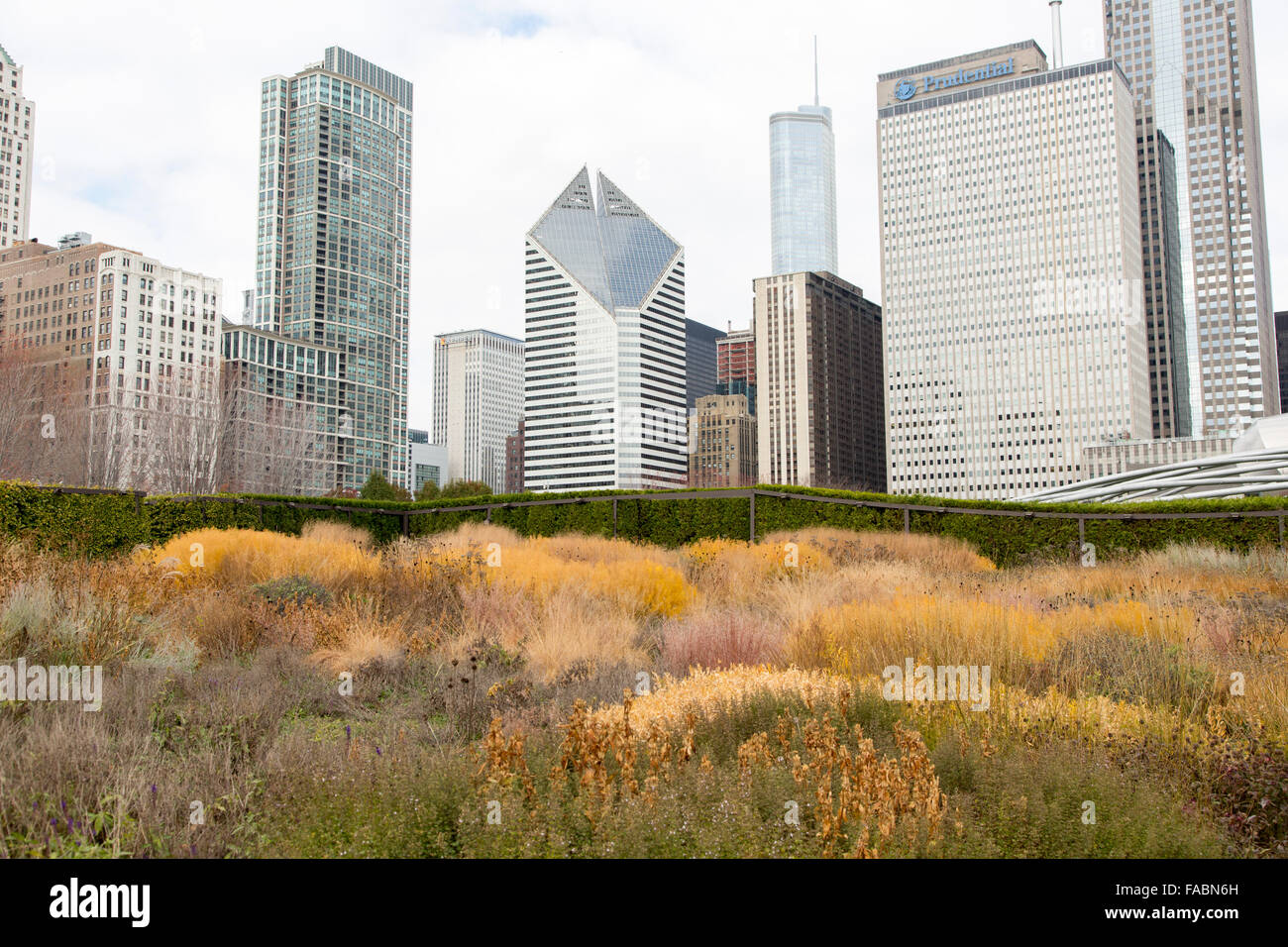 Vista su Lurie Garden, Millennium Park, Chicago, Illinois, USA verso lo skyline del grattacielo sullo sfondo Foto Stock