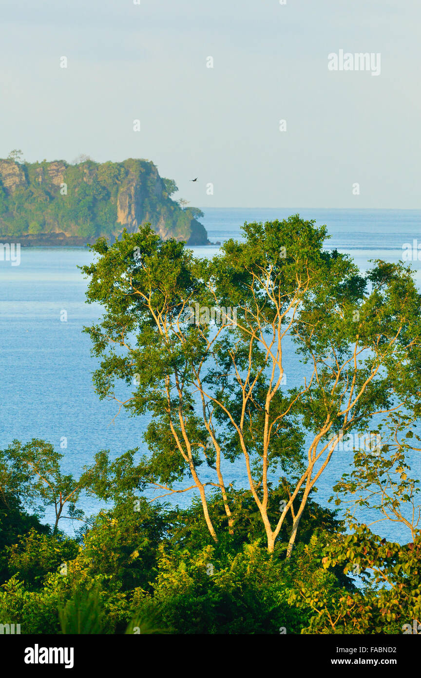 Costiero della foresta di pioggia a Punta Patino riserva naturale, Pacific Coast, provincia di Darien, Repubblica di Panama. Foto Stock