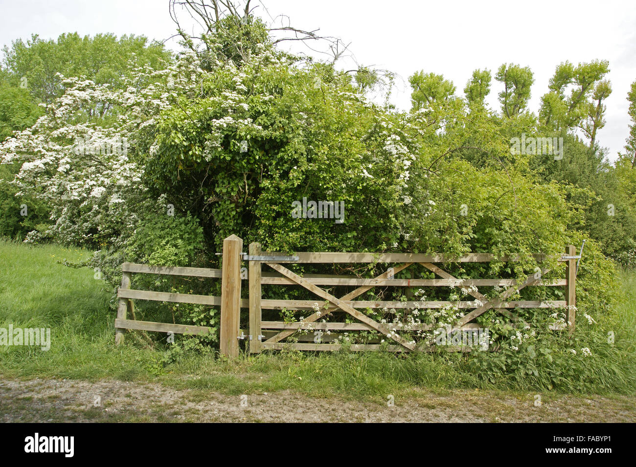 Paesaggio inglese gate Foto Stock