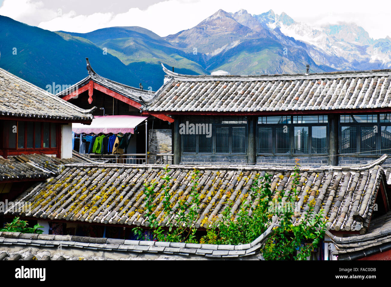 Città vecchia di Lijiang,Jade Dragon Mountain,Black Dragon Pool,Carp,Naxi popoli etnici,nella provincia dello Yunnan,PRC,Repubblica Popolare di Cina Foto Stock