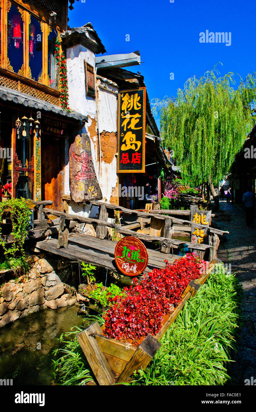 Città vecchia di Lijiang,Jade Dragon Mountain,Black Dragon Pool,Carp,Naxi popoli etnici,nella provincia dello Yunnan,PRC,Repubblica Popolare di Cina Foto Stock