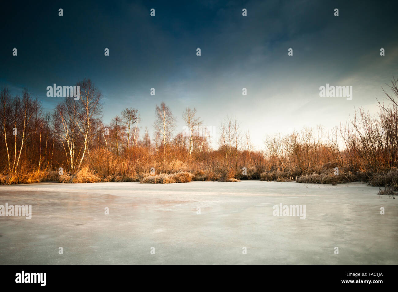 Scenic paesaggio invernale con lago ghiacciato circondato con la betulla e alberi di quercia Foto Stock