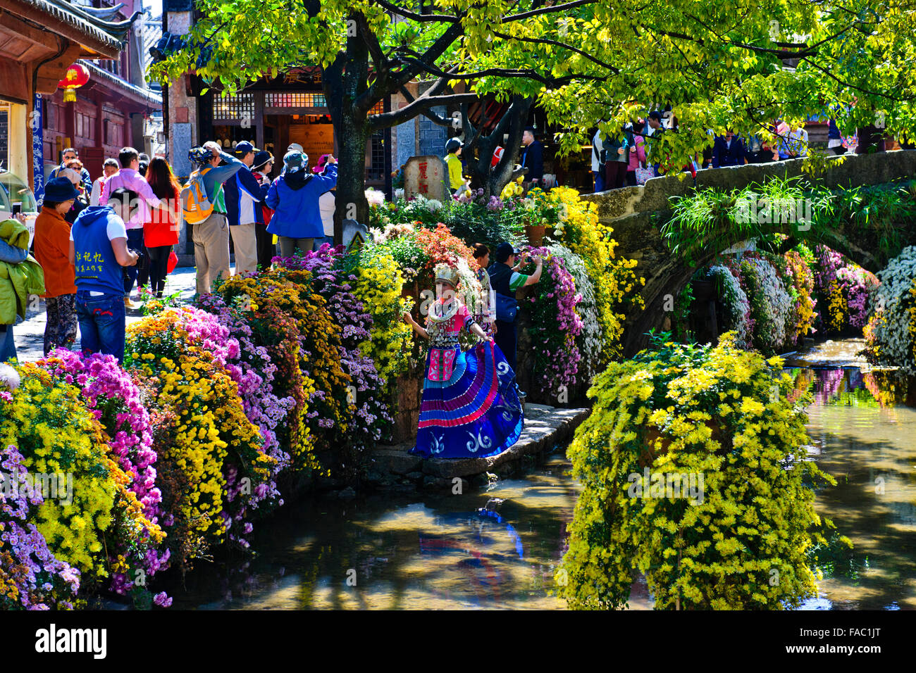 Città vecchia di Lijiang,Jade Dragon Mountain,Black Dragon Pool,Carp,Naxi popoli etnici,nella provincia dello Yunnan,PRC,Repubblica Popolare di Cina Foto Stock