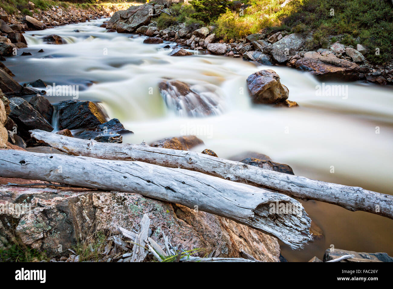 Un rapido flusso di acqua attraverso la Cache la Poudre fiume in dalla foresta nazionale di Roosevelt vicino rustico, Colorado. Foto Stock