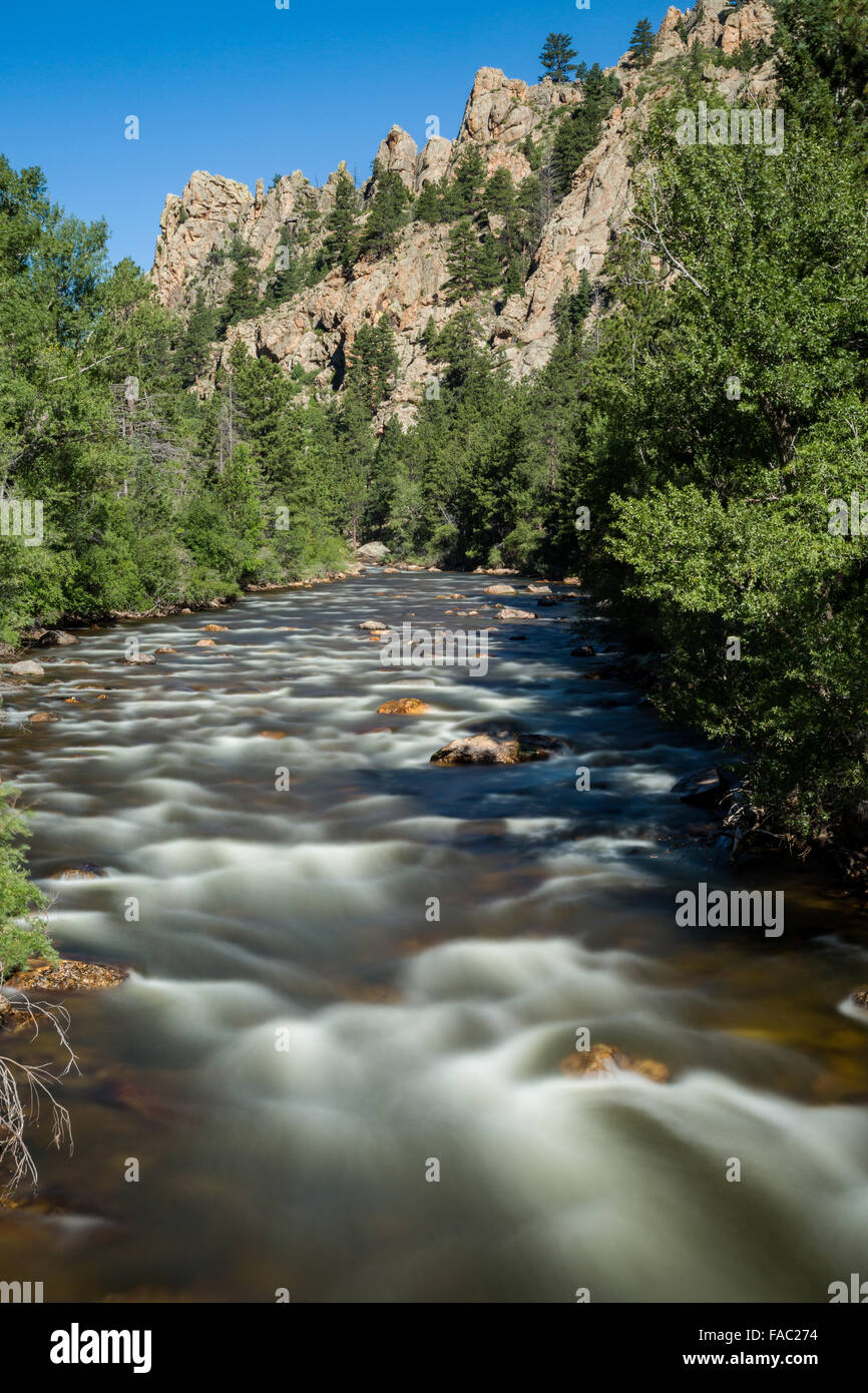 Un rapido flusso di acqua attraverso la Cache la Poudre fiume in dalla foresta nazionale di Roosevelt vicino rustico, Colorado. Foto Stock