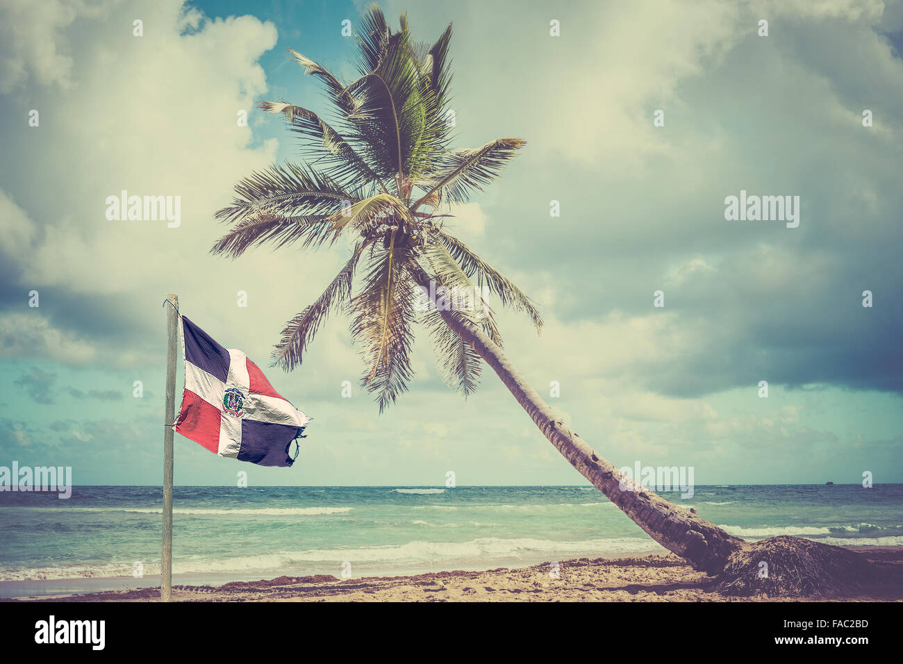 Palm tree oltre il mare dei caraibi nella Repubblica Dominicana Foto Stock