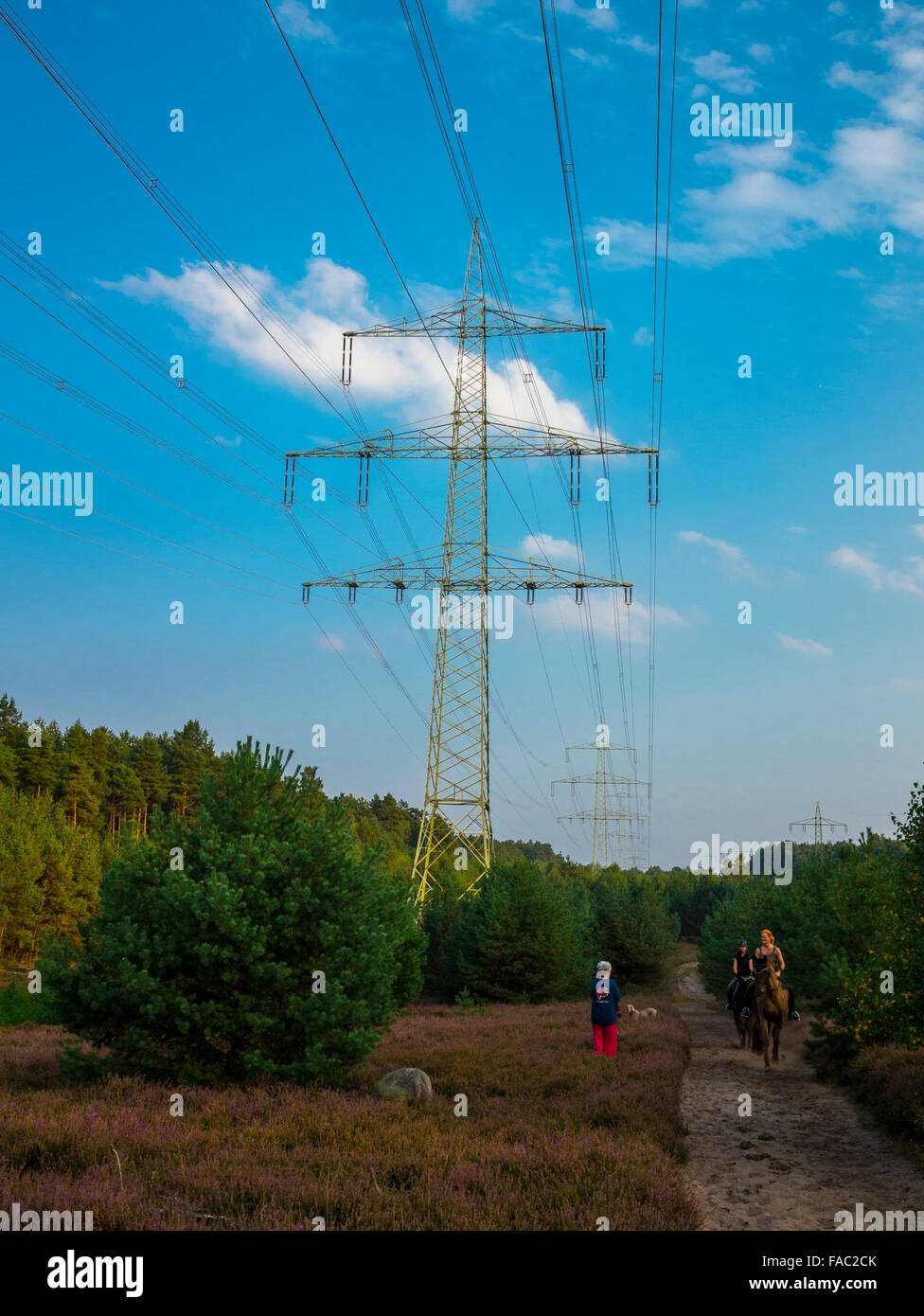 Linea elettrica ad alta tensione spanning Lüneburger Heide vicino Mechtersen, Bassa Sassonia, Germania. Foto Stock