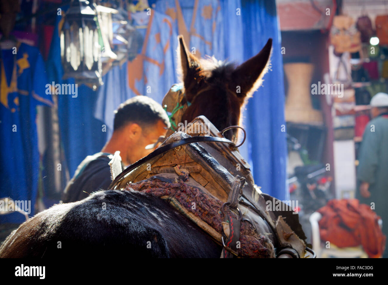 Cavallo e carrello in un souk - Marrakech, Marocco Foto Stock