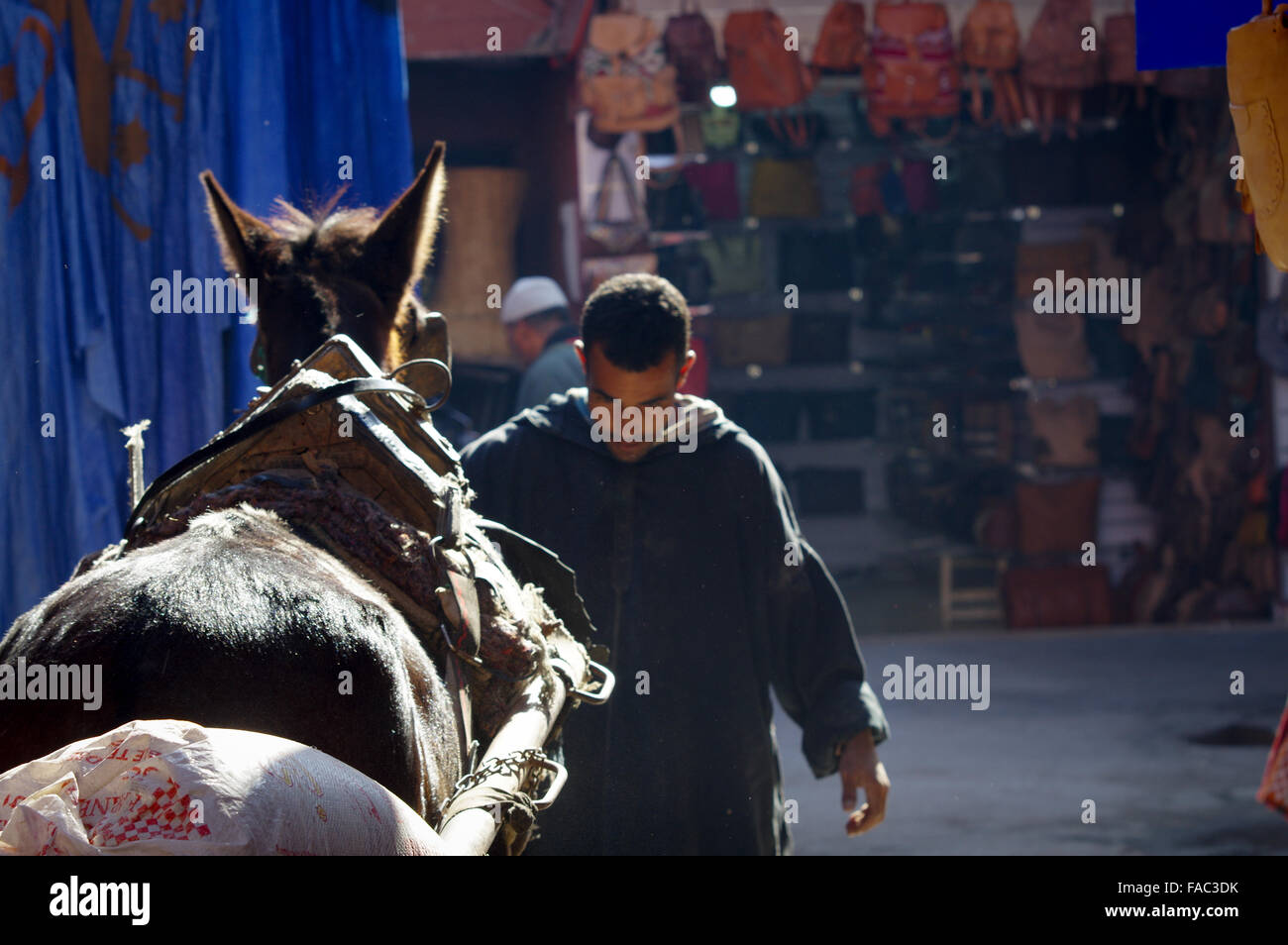 Cavallo e carrello in un souk - Marrakech, Marocco Foto Stock