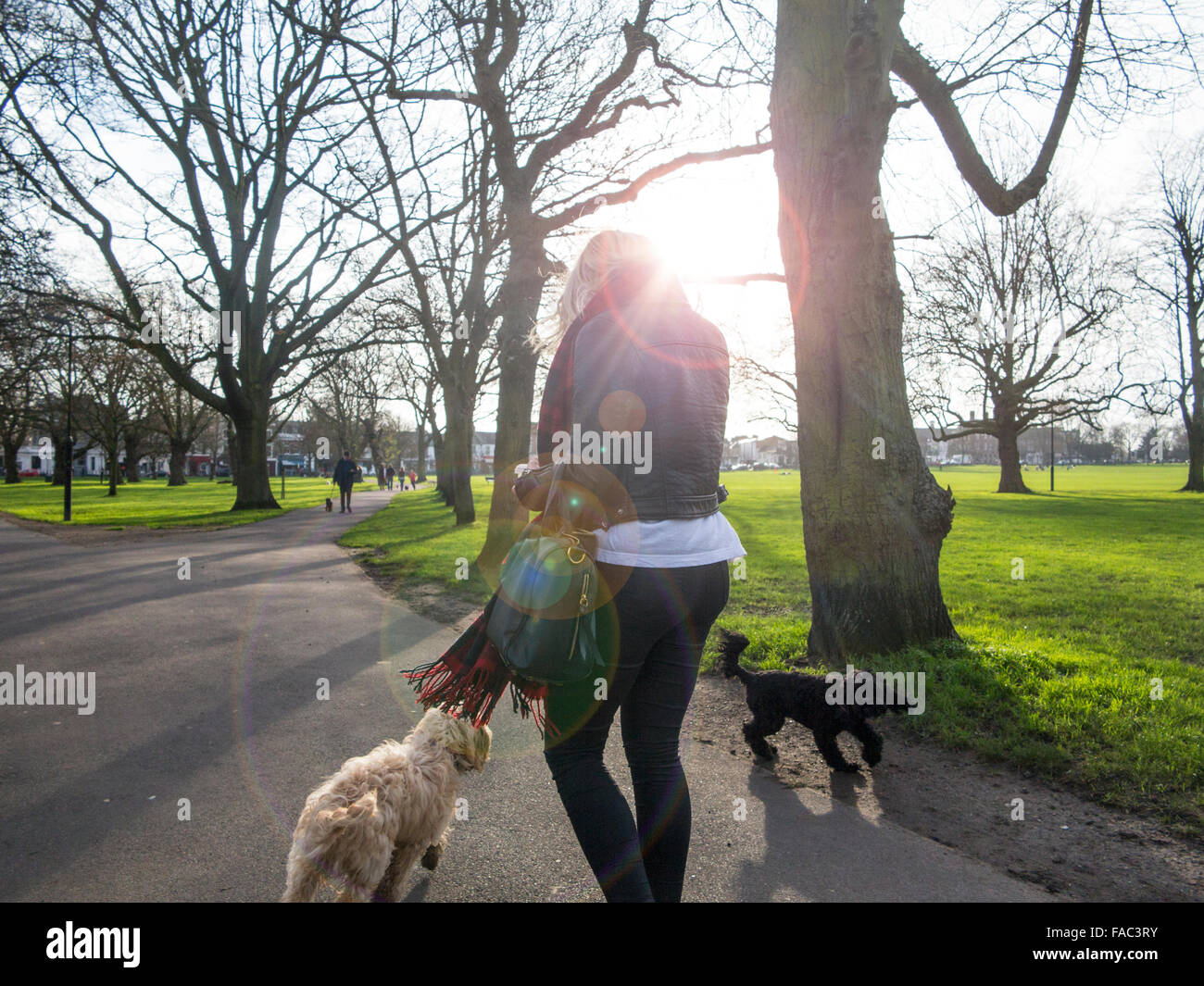 Una ragazza bionda su una passeggiata invernale in una giornata di sole Foto Stock