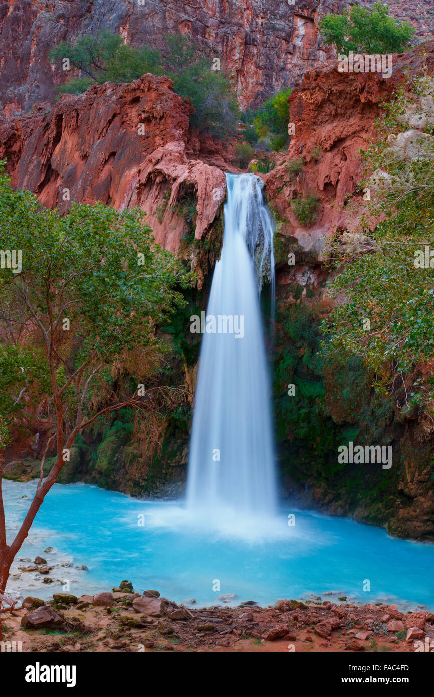 Havasu Falls, Havasupai Indian Reservation, Grand Canyon, Arizona. Foto Stock