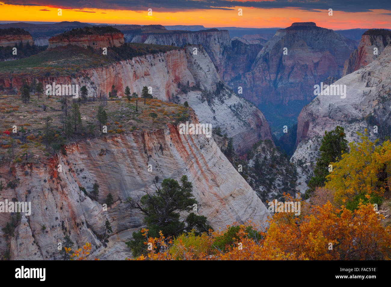 Canyon Behunin dal West Rim Trail, Parco Nazionale Zion, Utah. Foto Stock