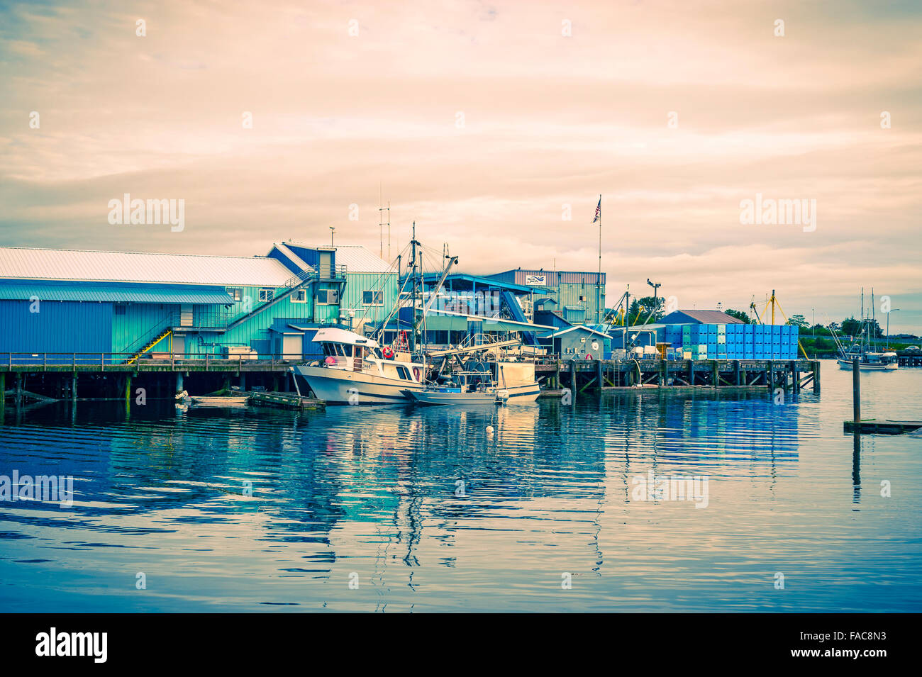 Navi da pesca commerciali legate ad un trasformatore di pesce a Sitka, Alaska, USA Foto Stock