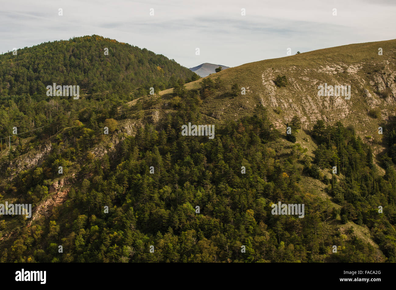 Parco Naturale del Monte Subasio vicino ad Assisi (Umbria, Italia Foto Stock
