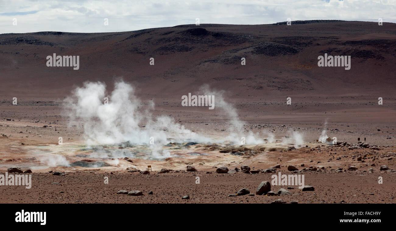 Piscine di vapore Sol de Mañana, campo geotermico sull'Altiplano Boliviano, provincia sur Lípez, Potosi Dept, Bolivia, Sud America Foto Stock