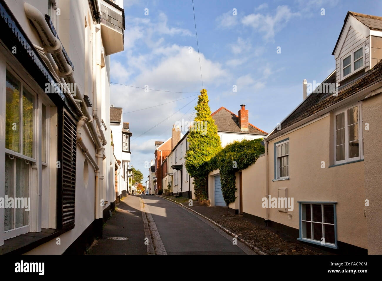 Un impressionante edera-coperto un palo telefonico che assomiglia a un albero in maggiore Shapter Street, Topsham, Devon, Inghilterra, Regno Unito Foto Stock