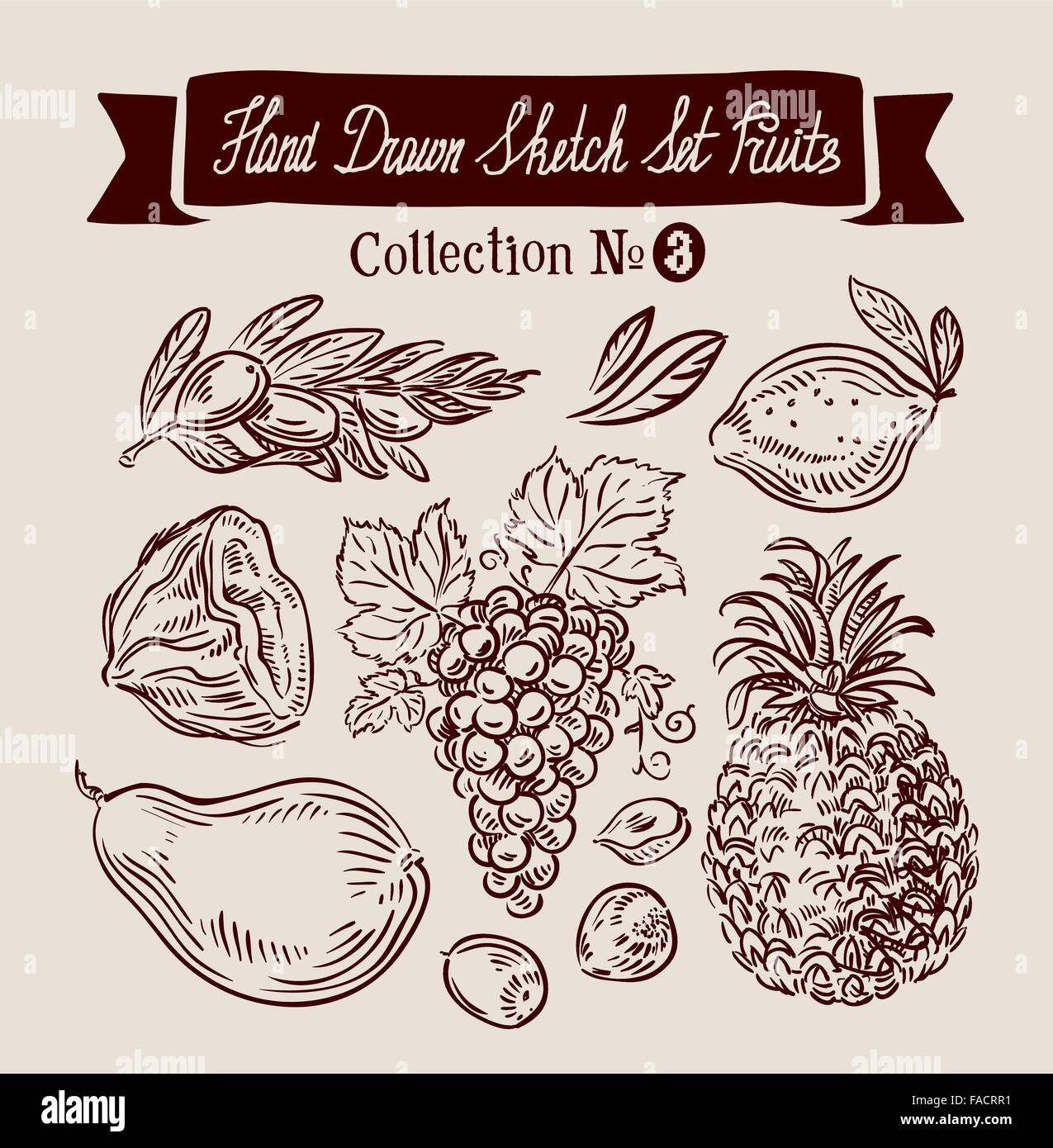 Mano bozzetto impostare frutta. Illustrazione Vettoriale Illustrazione Vettoriale