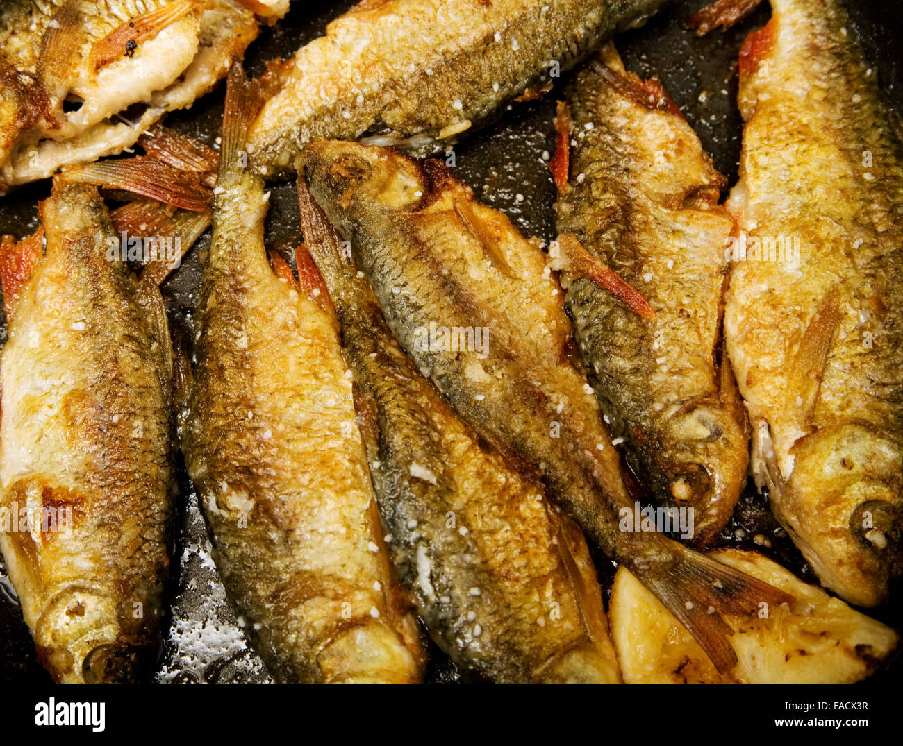 Pesce fritto per la pan Foto Stock