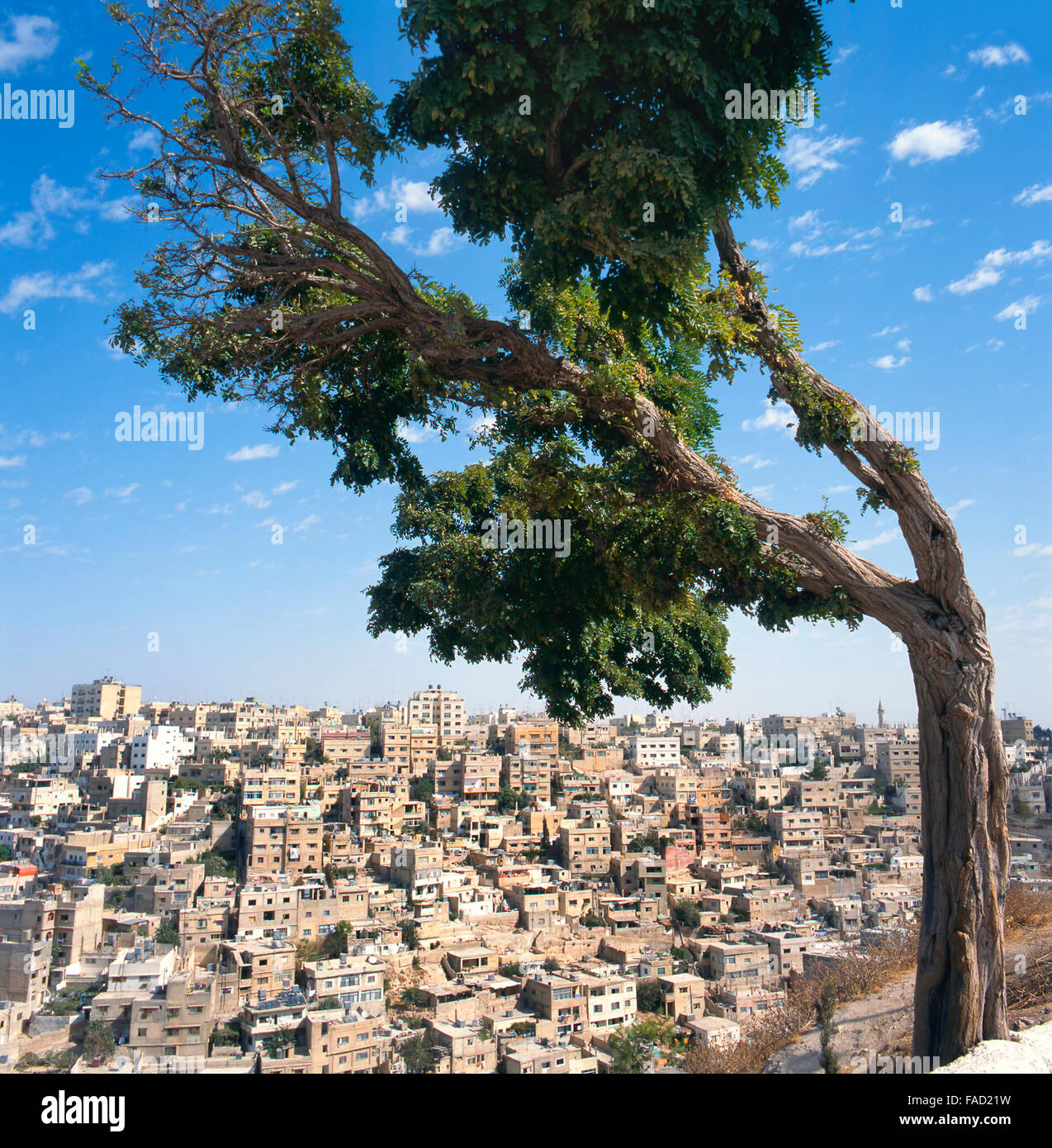 Visualizzare ad Amman in Giordania. Visto dalla cittadella Foto Stock