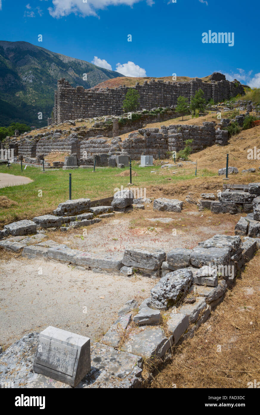Grecia Epiro. Rovine dell antica Dodoni. Il Tempio di Afrodite con il bouleuterion e le pareti del teatro dietro. Foto Stock