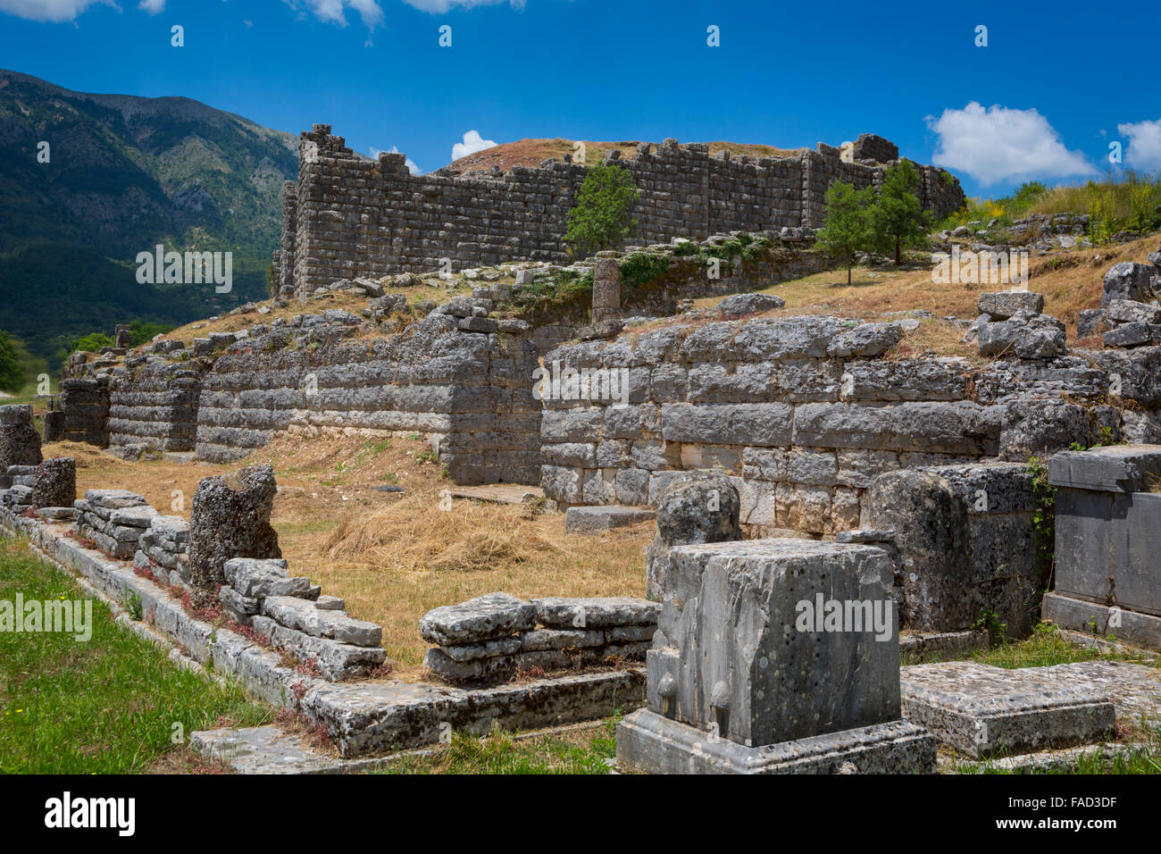 Grecia Epiro. Rovine dell antica Dodoni. Il bouleuterion (o senato) con le pareti del teatro dietro. Foto Stock