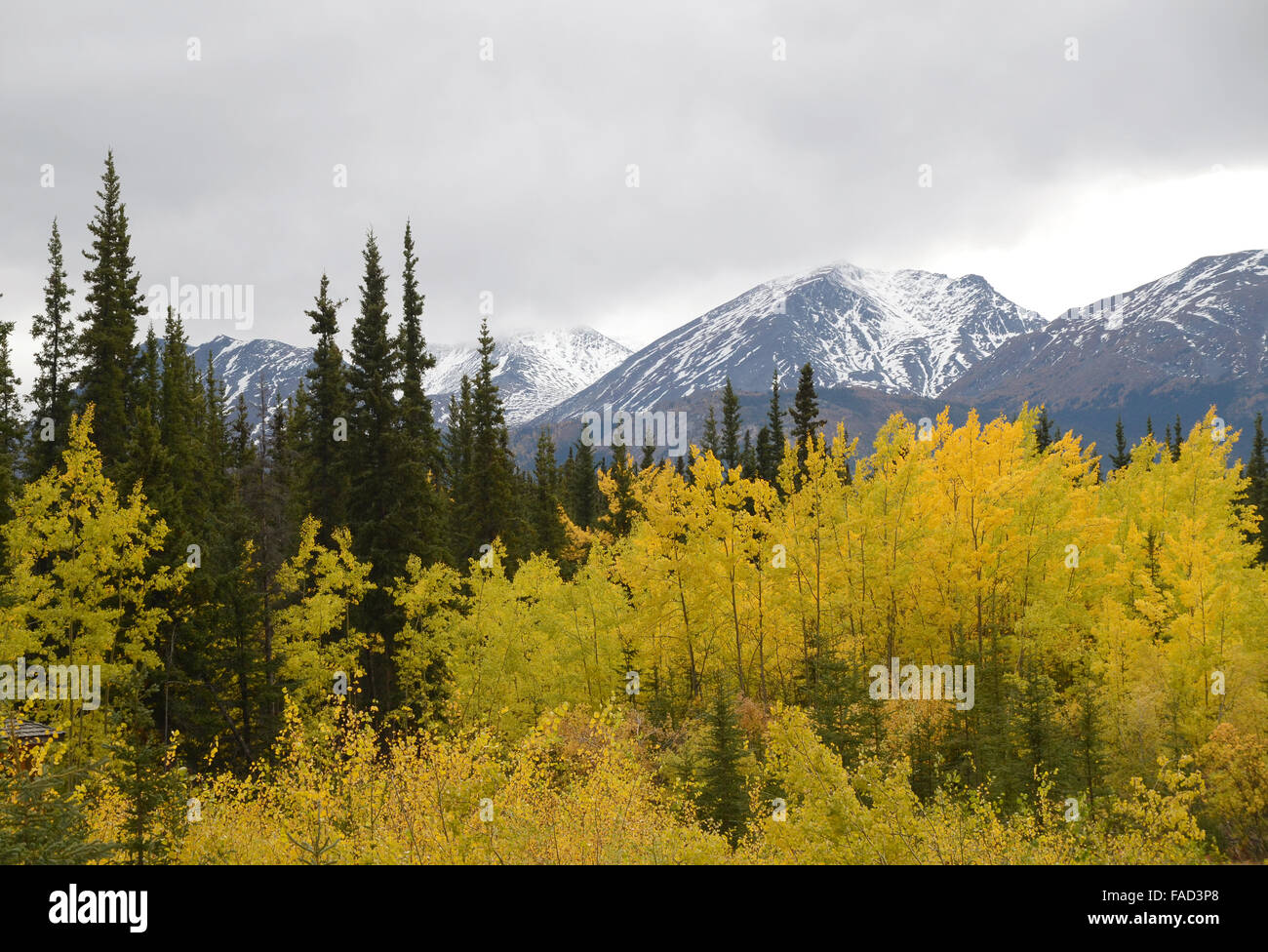 Sette sorelle Montagne in autunno Foto Stock