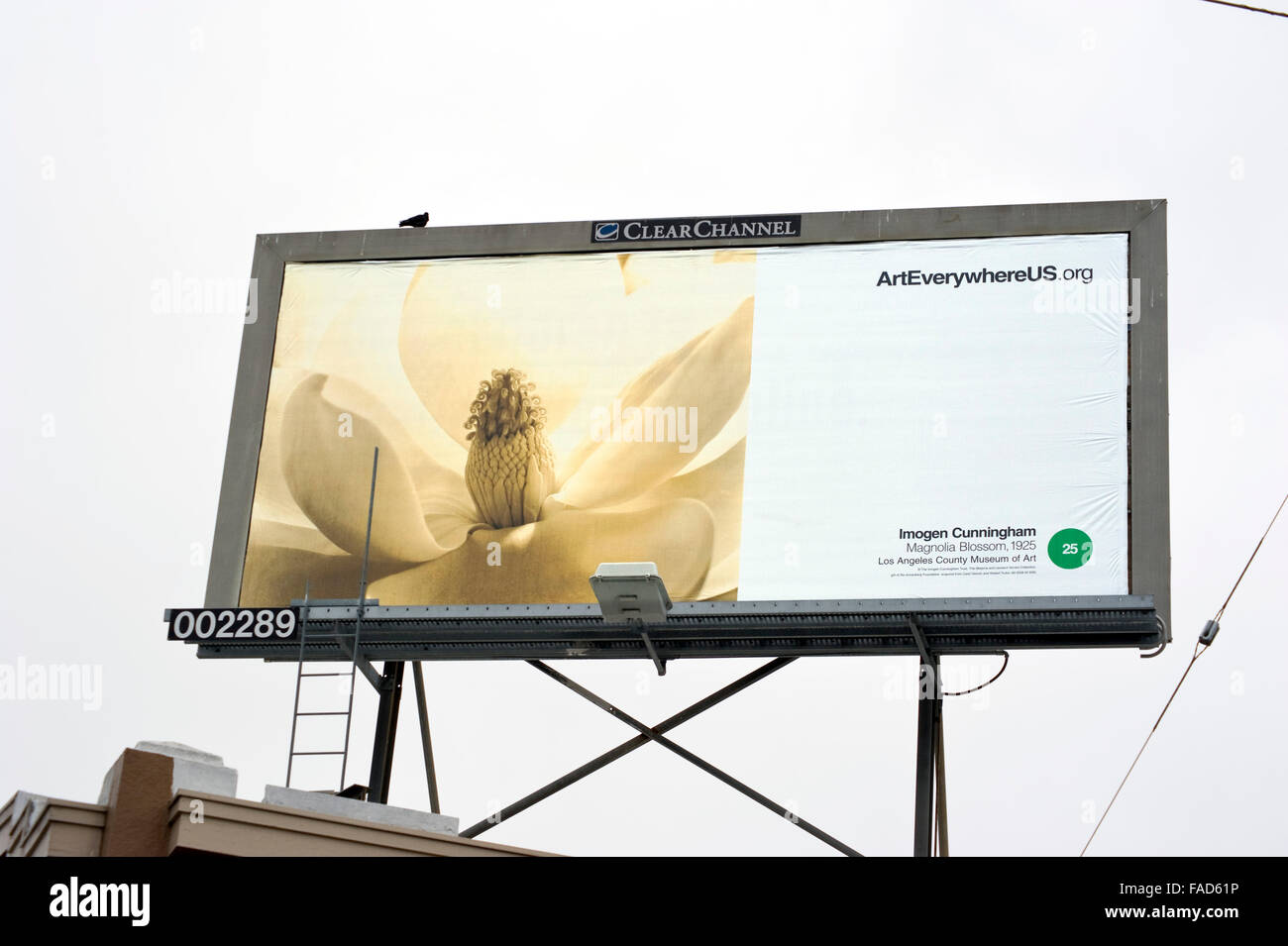 Un Imogen Cunningham fotografia compare su una pubblicità outdoor billboard in Oakland, CA durante l'arte ovunque evento. Foto Stock