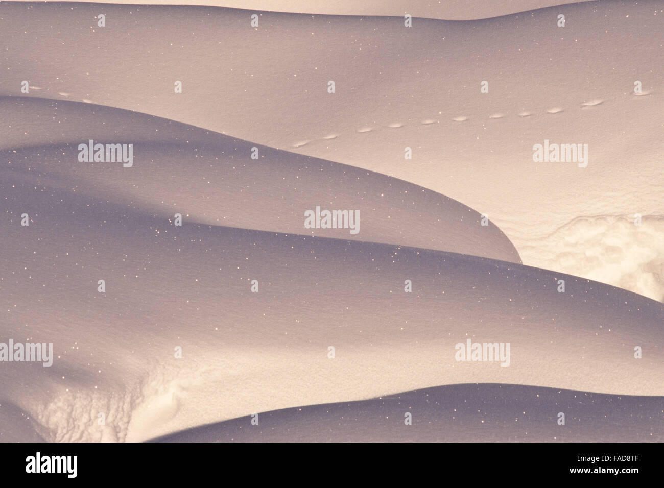Snow Drift scintillante nella luce del mattino nei pressi di anaconda, montana Foto Stock