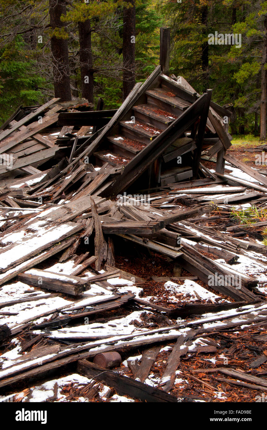 Coolidge città fantasma, Beaverhead-Deerlodge National Forest, Montana Foto Stock