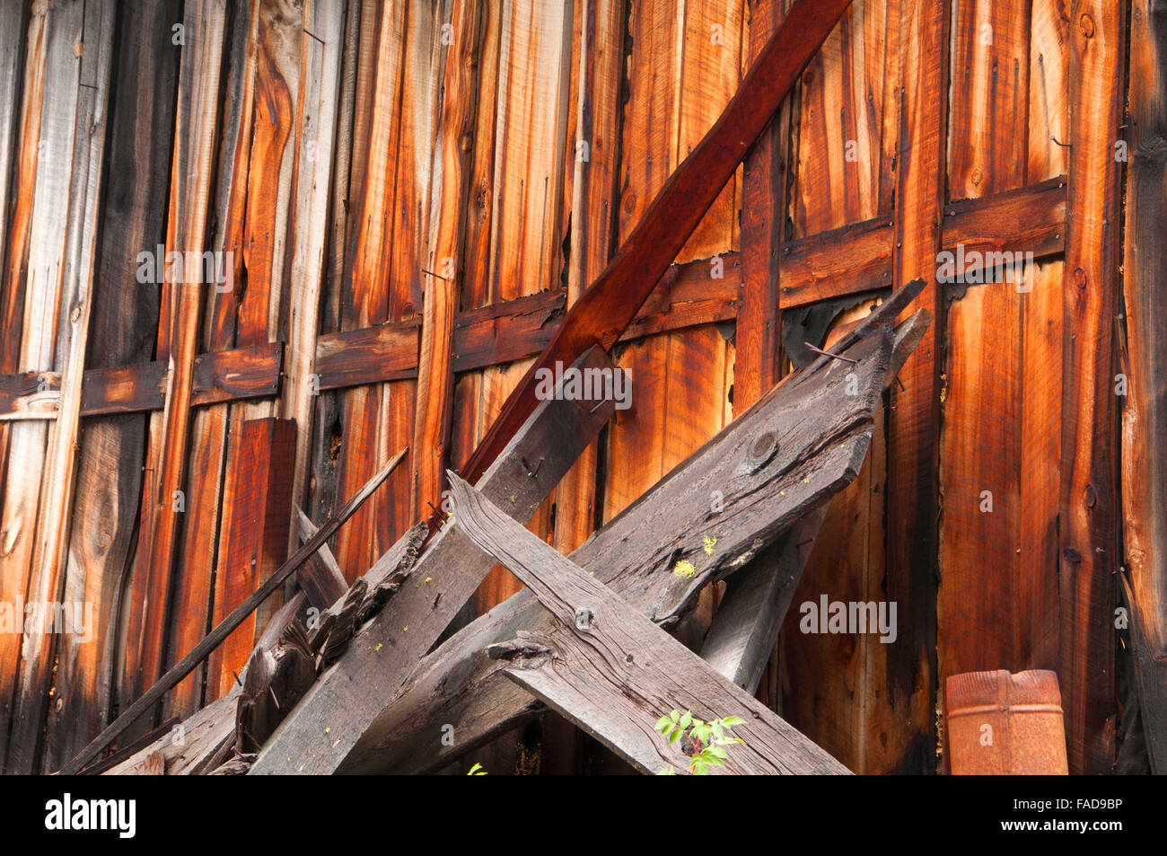 Coolidge città fantasma, Beaverhead-Deerlodge National Forest, Montana Foto Stock