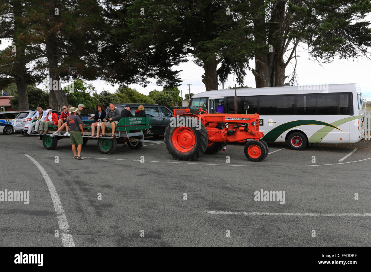 Gannett Beach avventure il trattore e carro con i turisti a bordo pronto a visitare il Gannet colonia. Foto Stock