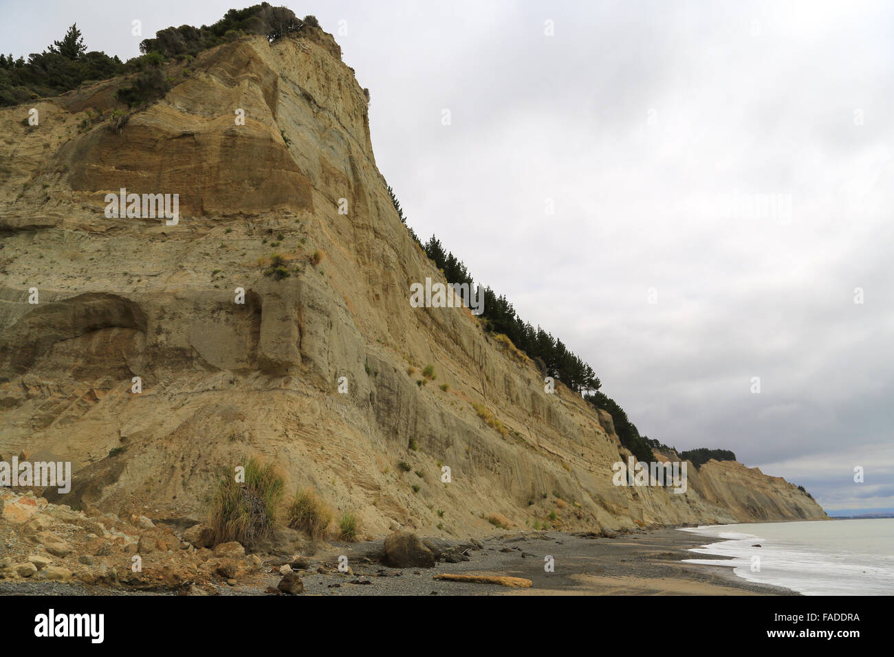 Alte scogliere di erosione lungo la spiaggia vicino a Clifton, Hawke's Bay, Nuova Zelanda. Foto Stock