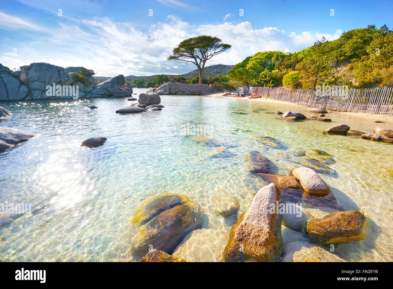 La spiaggia di Palombaggia, Porto-Vecchio, costa orientale della Corsica, Francia Foto Stock