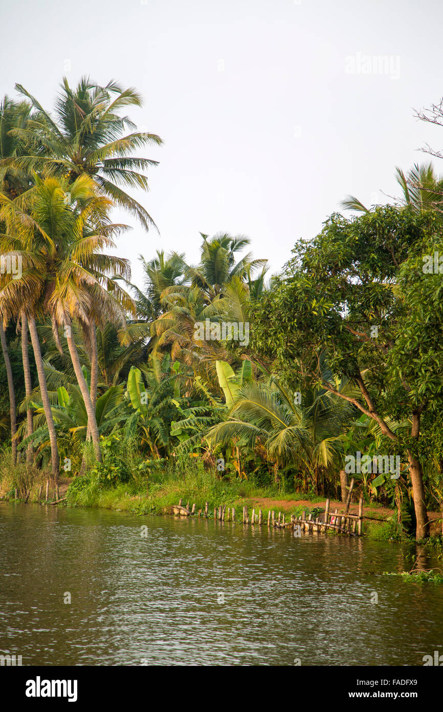 Backwaters nel Kerala, India. Le lagune sono una rete estesa di 41 ovest ad incastro che scorre fiumi, laghi e canali th Foto Stock