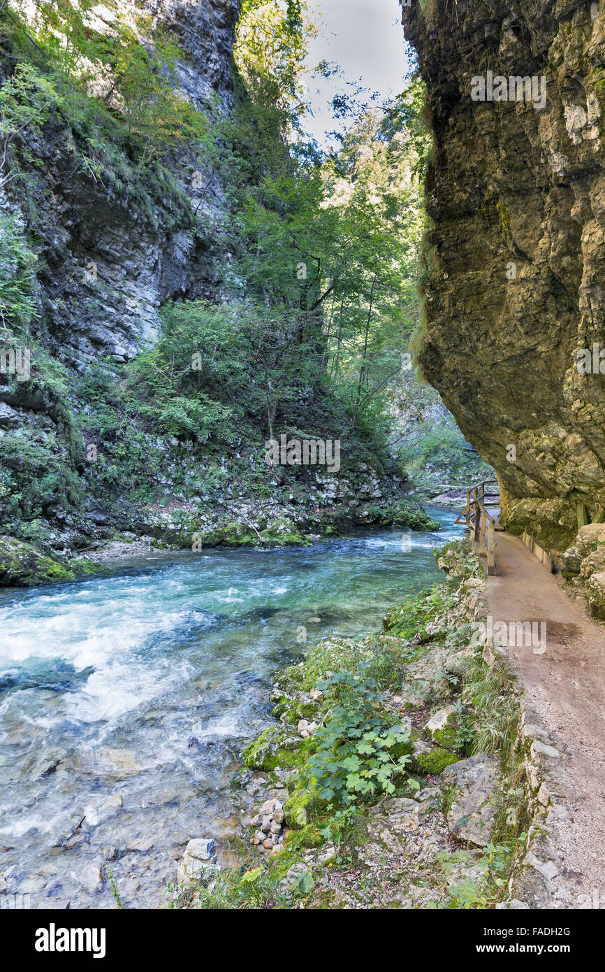 Gola gorge e percorso di legno con il fiume Radovna fluente attraverso di esso. Bled, Slovenia. Foto Stock