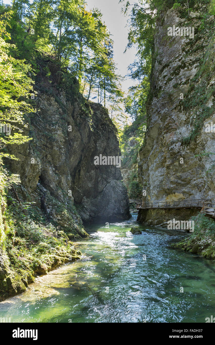 Gola gorge e percorso di legno con il fiume Radovna fluente attraverso di esso. Bled, Slovenia. Foto Stock