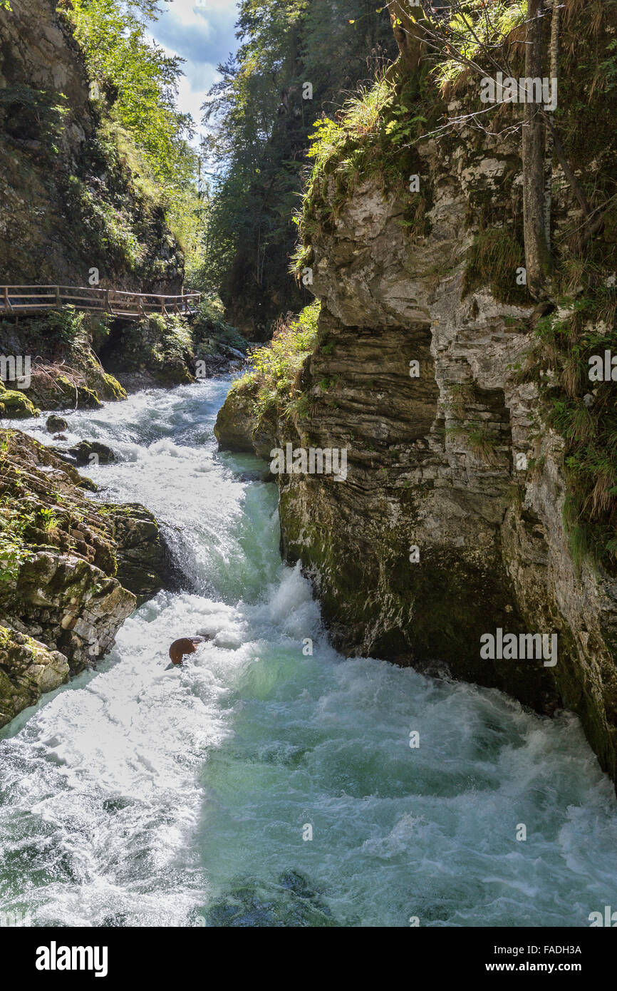 Gola gola e il fiume rapido Radovna. Bled, Slovenia. Foto Stock