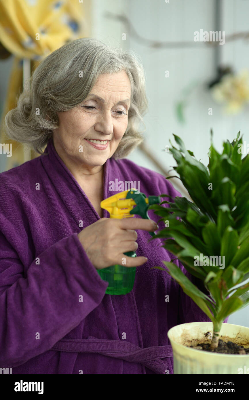 Donna anziana riversa i fiori Foto Stock