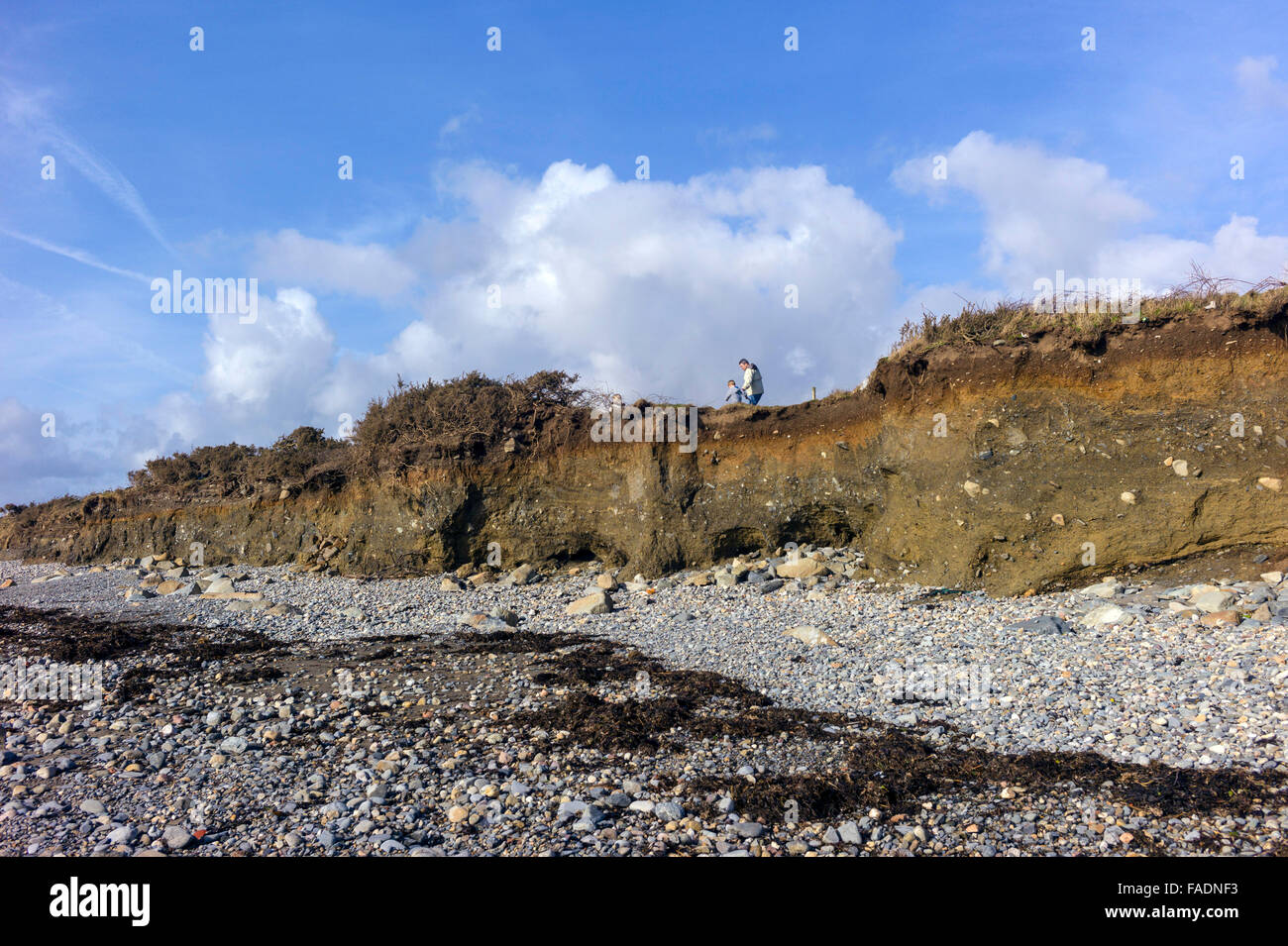 Erosione costiera sulla lunga distanza Welsh sentiero costiero a Criccieth dopo le tempeste invernali del 2014 visto dalla spiaggia. Foto Stock