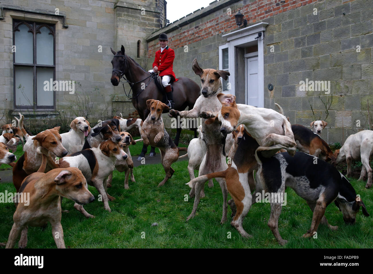 I segugi salto per biscotti come membri della vecchia Burstow Surrey e West Kent Hunt si riuniranno presso Chiddingstone Castle per la annu Foto Stock